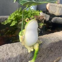 Cute Frog Holding A Leaf Umbrella. Spring and Summer Style Resin Decorative Piece Suitable for Use in Gardens, Courtyards, Bookstores or Living Rooms.