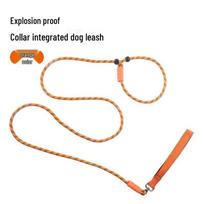 P-Rope Patvarus Nesipainiojantis Šunų Mokymo Pavadėlis - Švelnus Rankoms, Idealiai Tinka Mažiems Šunims. 1.5m x 0.8cm oranžinė