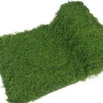 DIY Artificial Grass Rug Lifelike Durable Fake Moss Lawn Year-round Green No Watering Fake Green Grass Mat Wall (Dark Green,50x50cm) tamsiai žalia spalva