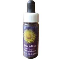 Flower Essence Services Dandelion Dropper, 0.25 oz (Pack of 1)