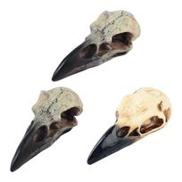 Raven Skull Decor Resin Bird Skull Pendant Necklace Decor Raven Skull Statue for Indoor Outdoor Desk Window Sill Festival 60mmx28mmx22.5mm