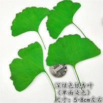 100Pcs Dried Natural Pressed Flowers Ginkgo Biloba Leaf Dry Flower Leaves, Floral Sticker Beauty Nail Art, Bookmarks