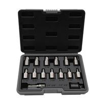 15 Piece Screw Extractor Set for Removing Stripped Rusted Bolts with Double Head Design Compatible with Power and Hand Tools China Mainland