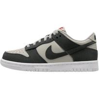(GS) Nike Dunk Low 'Anthracite Light Iron Ore' Kids' FZ1000-001 EU 36.5