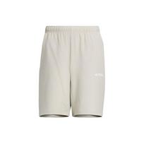 adidas Terrex AEROREADY Logo Shorts Asia Sizing 'Light Grey' Men's IS0286 S