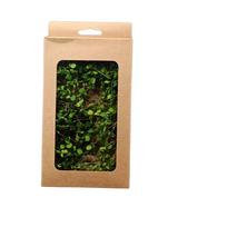 Landscape Layout Fairy Garden DIY Miniature Vines Simulation Vine Grass Tufts Realistic Ivy šviesiai pilka spalva