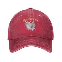 Vintage Ibuprofen Cat Meme Baseball Cap Unisex Style Distressed Denim Snapback Cap  Outdoor Running Golf  Fit Caps Hat One Size