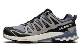 Salomon XA Pro 3D V9 GORE-TEX 'Flint Stone Ghost Grey' 44