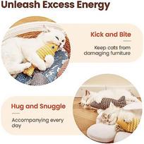 T02C!Cat Toys Fish, Cat Chew Toy Catnip Toys Pet Toys For Bored Indoor Adult Cats 3 Pack