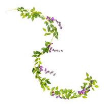 Tenvity Wisteria Vynuogės Dirbtinės Gėlės Kabanti Šilkinė Girlianda Namų Sodui Lauko Ceremonijai Vestuvių Arka Gėlių Dekoracija