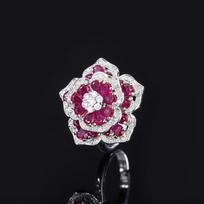 Micro-Studded Diamond Ring Tiktok Topaz Pigeon Blood Ruby Adjustable Ring Ladies