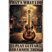 Vintage Guitar Tin Sign Wall Decor Retro Music Room Gift 20x30cm