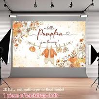 2D Flat Printed Little Pumpkin Baby Shower Background Cloth 47.2x31.5inch/120*80cm