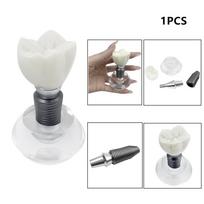 1pc Upper/Lower Dental Implant Model Jaw 2/4/6 Implants Teeth Teaching Model Dentistry Removable Study Models For Education Demo