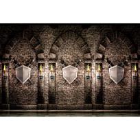 Medieval Party Backdrop Decorations Vintage Castle Backdrop Arch Door Window Knight Photography Photo Stone Wall Background Prop 90cmX60cm
