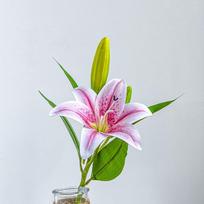 3D Textured Lily with Two Flowers & Bud - Moisturizing Glue Paper Artificial Flowers for Home, Photography, or Wedding Decor
