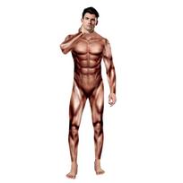 Halloween Cosplay Costumes for Adult 3D Printed  Muscle Bodysuit Superhero Carnival Role Play Suit Stage L
