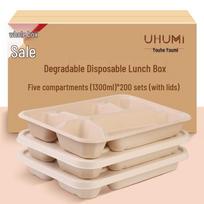 Disposable Bagasse 5-Compartment Meal Prep Containers with Lids