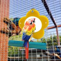 Bird Mirror For Cage Parrot Toys Mirror Cockatiel Perch Chewing Flower Shape Enrichment Stand Cockatiel Cage Accessories China Mainland