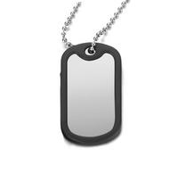 Personalized Stainless Steel Dog Military Army Tags Laser Engraved Character Photo Picture Bead Chain Necklace 1 Silver Tags