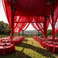 Pink Tulle Backdrop Curtain for Parties Baby Shower,Tulle Organza Sheer Fabric for Birthday Party Wedding Photo Booth Decoration 1pc 160x100cm vyno raudonos spalvos
