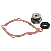 Water Pump Kit for Polaris Models 400 500 Replacement Components 3084836 3084837 3086840 for Effective Cooling System China Mainland