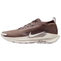 Nike Pegasus Trail 5 Gore-Tex 'Mink Brown' Men's HQ7494-200 EU 38.5