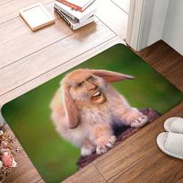 Saint Nicolas Cage Doormat Mat Anti-Slip Funny Meme Bathroom Kitchen Living Room Rug Carpet 40*60cm 40x60cm