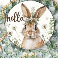 Planetjuice Iron Easter Bunny Hello Sign 8 Inch Round Wall Decor Welcome Plaque Spring Home Decor (as the picture,20x20)