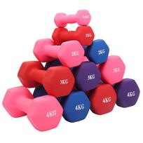 Hexagonal Rubber-Coated Dumbbell for Women's Home Fitness - Frosted Cast Iron Handbell Equipment 1 kg