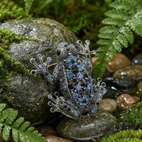 Vintage Rhinestone Frog Brooches for Women Unisex Animal Pins Friend Event Party New Gifts Jewelry Decoration Accessories