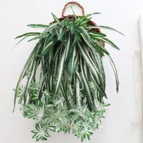 2Pcs 60cm 5 Heads Artificial Plants Wall Hanging Chlorophytum Fake Flower Artificial Green Plants Simulation Leaves for Home Balcony Garden Decor