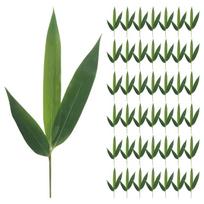 100pcs Sushi Bamboo Leaf Sushi Dish Decor Bamboo Leaves Sashimi Decor Mats Sashimi Serving Bamboo Leaves Sushi Mats