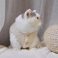 Cute Soft Cozy Cat Clothes Fleece Winter Warm Sweatshirt Lambhair Vest Puppy Kitten