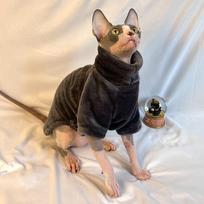 Trendy Fleece Warm Winter Puppy Clothes Turtleneck Soft Cat Sweatshirt Fluffy Solid Color Pet Supplies Chihuahua Outfits (Grey,S) pilka
