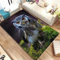 Cute Owl 3D Cartoon Area Rug,Carpet Rug for Home Living Room Children Bedroom Sofa Doormat Decor,Kids Play Non-slip Floor Mat 40x60cm 16x24 inch
