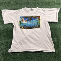 Island Dreams Bahamas Graphic T-Shirt. Boxy fit size XL S