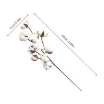 3Pcs Dried Cotton Stems 10 Heads Handmade Flexible Branches Rustic Farmhouse Decoration Wedding Floral Display Filler Cotton (as the picture,52X12X6CM)