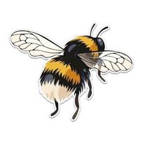 Creative Bumblebee Car Vinyl Sticker Suitable for Car Truck Off road Vehicles Windows Bumpers Auto Decoration Decal Accessories