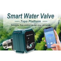 ABGR-Tuya Smart Zigbee Electric Motorized Ball Water Valve Stainless Steel Garden Irrigation Remote Control For Alexa As Shown DN15