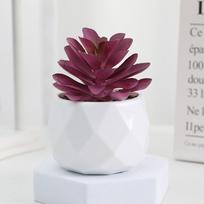 Mini Artificial Succulent Evergreen Simulation Succulents Bonsai Fake Plants Home Cactus Small Potted Plants