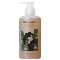 Kelp Shampoo 500ml, Gentle, Mildly Acidic, Suitable for Dry, Sensitive, and Pregnant Women Scalp Care, Silicone-Free