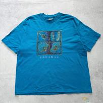 Vintage T Shirt Mens XL Blue Single Stitch Graphic Print 90s Tourist Beefy L