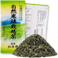 Herbata Zielona Japońska Shizen Noohoo Saibai Cha 100 G Shizuoka Nohooo