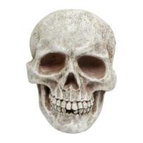 Realistiško dydžio kaukolės figūrėlė Žmogaus kaukolės ornamentas Helovino dekoracija Dervos Siaubo statula Atspari vandeniui Namų biuro kiemo dekoracija Skull