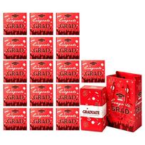 Explosion Graduation Gift Boxes Set 16 Pieces Graduation Party Favor Boxes for High School College Graduation Celebration Surprise Gift One Size