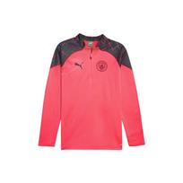 PUMA Logo Manchester City Training Fleece 'Pink' Men's 772861-17 L