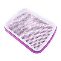 Premium Soil-Free Sprouter Tray for Wheatgrass Alfalfa Broccoli Seeds Growing Healthy Food Grade PP Material 35x26x5cm Purple