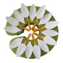 Yousheng Lily Pad Cup Holder Waterproof Floating Drink Holder with Self-Adjusting Petals Holder for Pool Spa Bathtub Candle