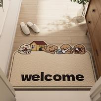 Entry Door Floor Mat Entrance Shoe Changing Area Entry Door Mat Household Can Be Cut Rubbing Soil Foot Mat Silk Ring Floor Mat 40*60cm